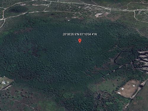 5+ Acres of Recreational Paradise : Saint Cloud : Osceola County : Florida