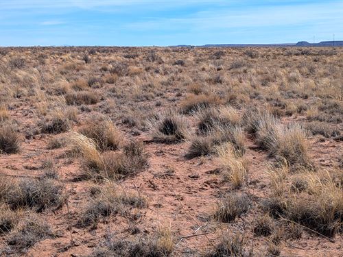 No Restriction Expansive Desert Lot : Arizona City : Apache County : Arizona