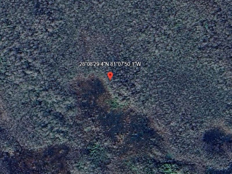 .31 Acre Affordable Florida Lot : Saint Cloud : Osceola County : Florida