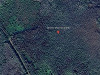 1.25 Acres of Florida Adventure : Saint Cloud : Osceola County : Florida