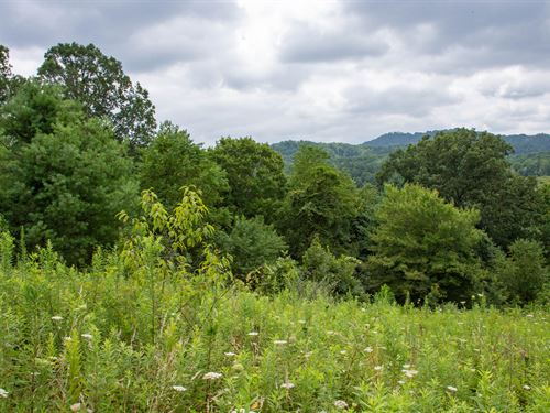 Yours, No Strings, 1.94 Acres : Grassy Creek : Ashe County : North Carolina