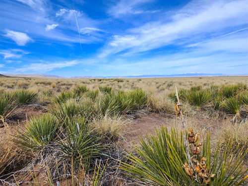 Camp on Your Colorado Buildable Lot : Colorado City : Costilla County : Colorado