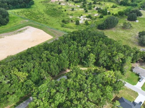 .57 Acre Lot in Marion Oaks : Ocala : Marion County : Florida