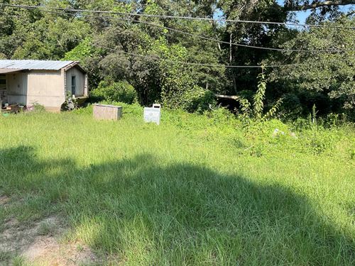 Patsburg Hwy Lot 1 : Luverne : Crenshaw County : Alabama