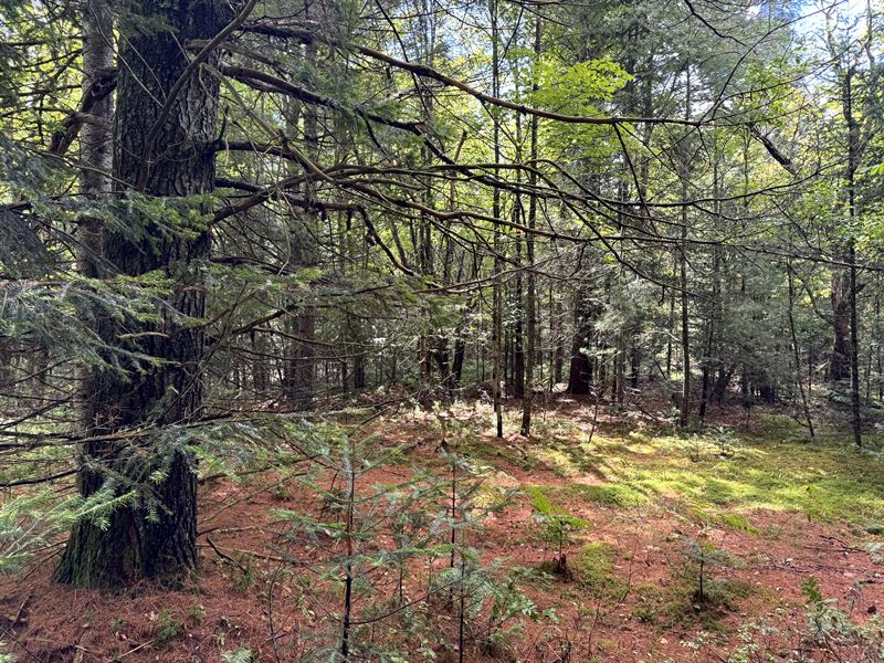 Southern Adirondacks : Ohio : Herkimer County : New York