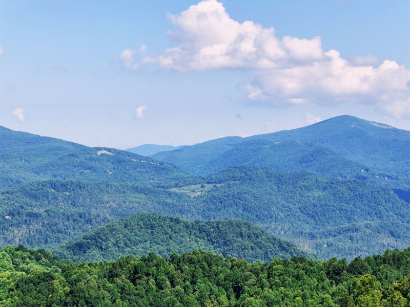 .24 Acre Lot in Hendersonville, NC : Hendersonville : Henderson County : North Carolina