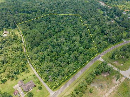 19 Acres, Highway 1131 : Vidor : Jasper County : Texas