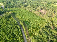 The Winn Bethlehem Road Tract : Jackson : Clarke County : Alabama