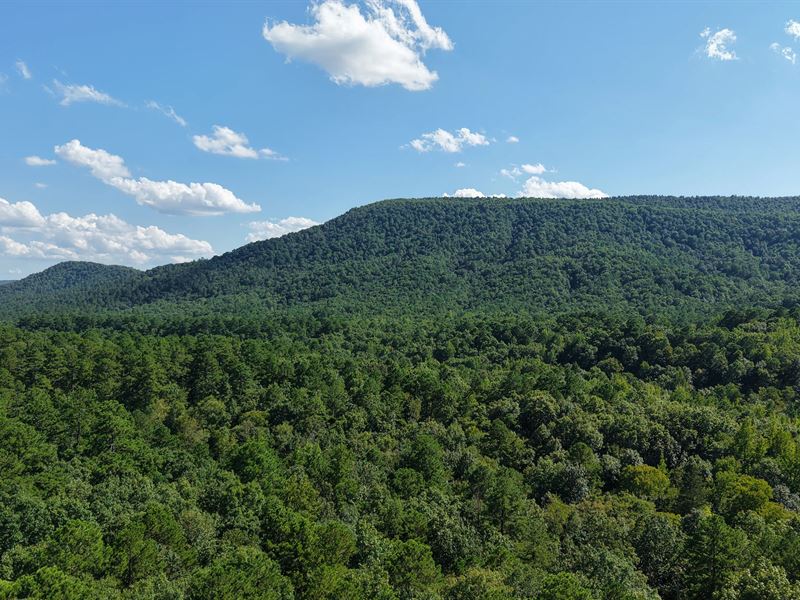 A Cabin On 2.623 Acres : Mena : Polk County : Arkansas