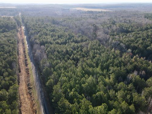 13 Acres Clay County : Goodwater : Clay County : Alabama