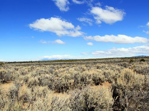 5 Ac to Call Home in Costilla CO : San Luis : Costilla County : Colorado