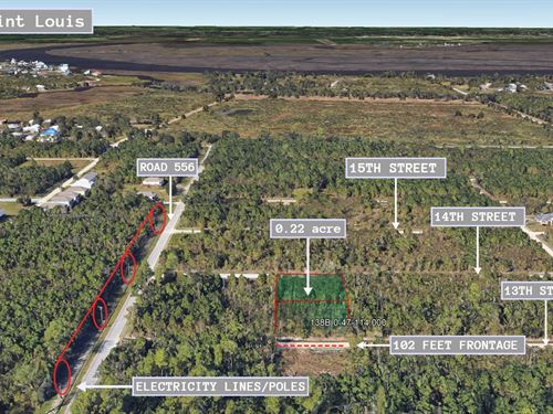 .23 Acre in Bay Saint Louis, $200/M : Bay Saint Louis : Hancock County : Mississippi