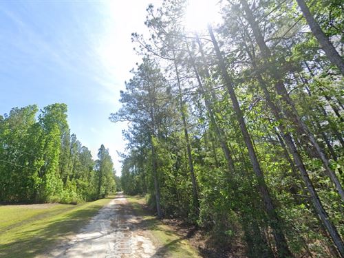 Prime Palatka Property, $418/Month : Palatka : Putnam County : Florida