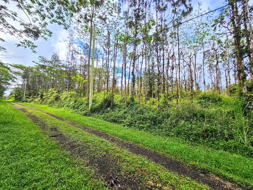 Beautiful Lot in Nanawale Estates : Puna : Hawaii County : Hawaii