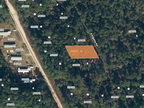 Grab 0.27 Acres Today for $199 Down : Satsuma : Putnam County : Florida