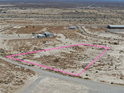 Cash Deal for Great 1 Acre : Pahrump : Nye County : Nevada