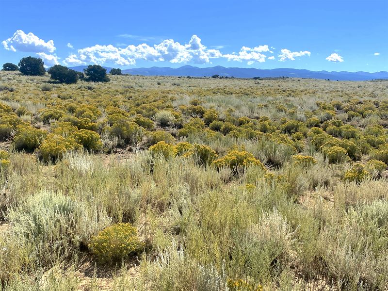 Residential Desert to Build & Camp : Colorado City : Costilla County : Colorado