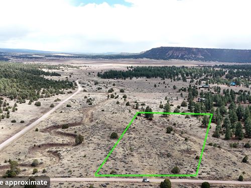 4.9 Acres in Ramah, Camping Land : Ramah : McKinley County : New Mexico