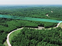 7.7 Acres w Power & Fiber Internet : Dover : Stewart County : Tennessee