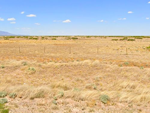 .5 Acre Sunrise Sanctuary : Deming : Luna County : New Mexico