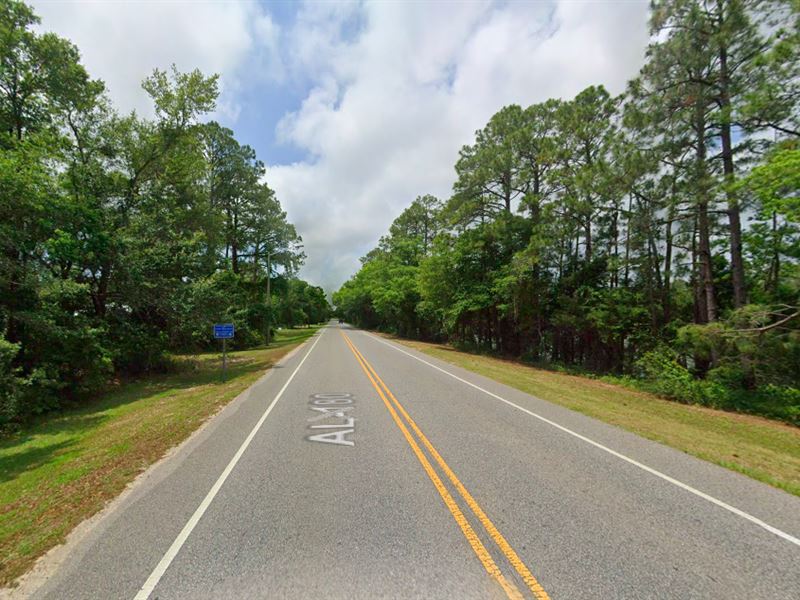 Invest in Paradise, Prime Lot : Gulf Shores : Baldwin County : Alabama
