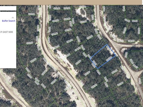Hot Summer Land Deal, $49 Down : Lake Placid : Highlands County : Florida