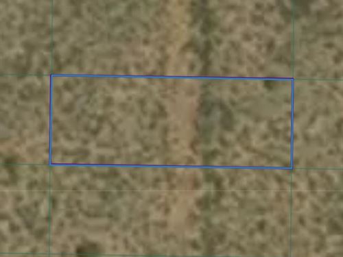 Mountain-View 1/4-Acre Dream Lot : Tres Piedras : Taos County : New Mexico