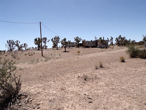 Live Free on Your Own : Dolan Springs : Mohave County : Arizona