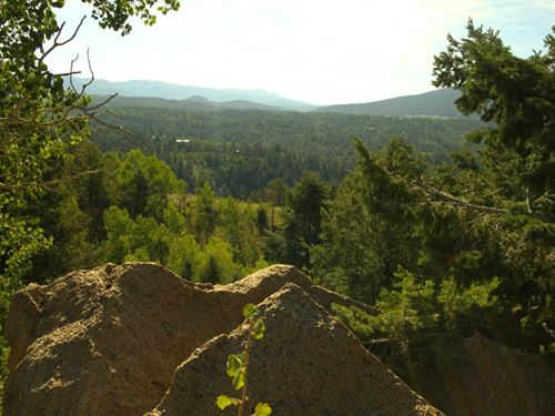 1.11 Acres in Cripple Creek CO : Cripple Creek : Teller County : Colorado