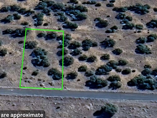 .46 Acres of Unlimited Potential : Concho : Apache County : Arizona