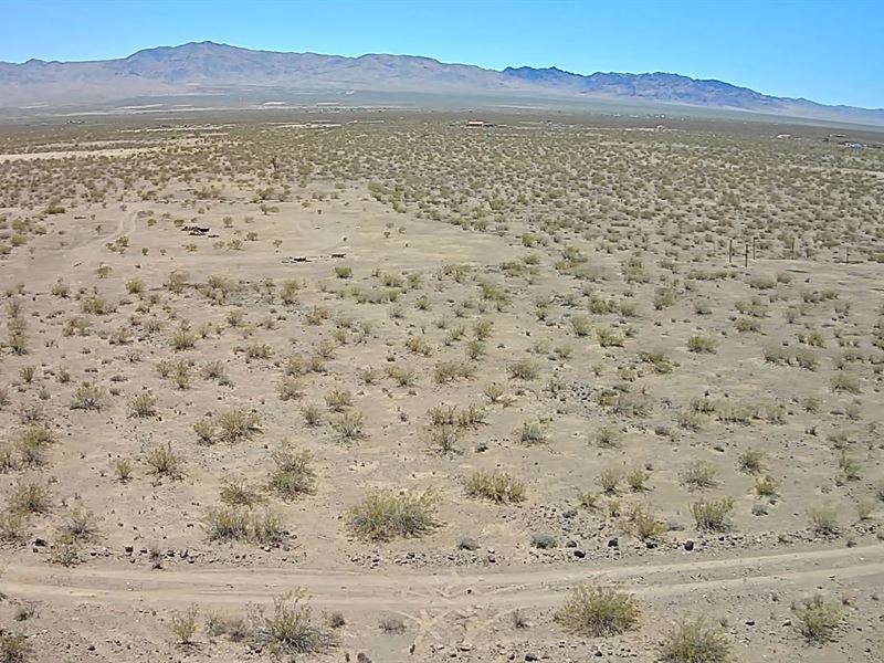 1 Acre Family Adventure Retreat : Dolan Springs : Mohave County : Arizona