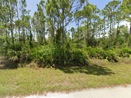 Punta Gorda Paradise Lot, $391/Mo : Punta Gorda : Charlotte County : Florida