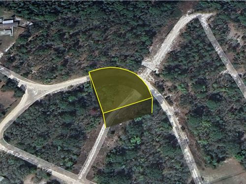 Satsuma Living $199 Down to Start : Satsuma : Putnam County : Florida