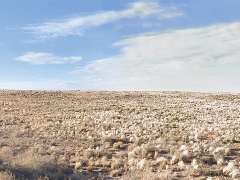 Potential 1.25 Acres in Navajo, AZ : Sun Valley : Navajo County : Arizona
