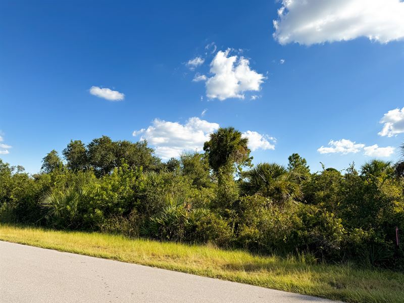 .23 Acre Port Charlotte Paradise : Port Charlotte : Charlotte County : Florida