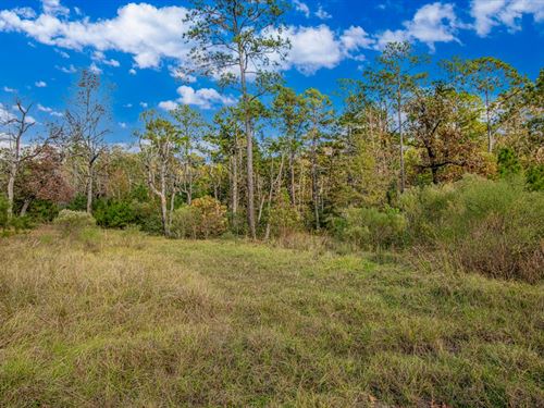 RV Friendly, Near Lake Livingston : Trinity : Texas