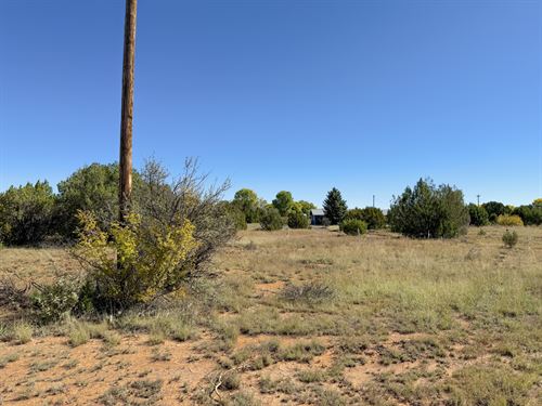 .46 Acre Concho Arizona Paradise : Concho : Apache County : Arizona