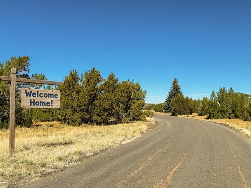 .46 Acre Concho Arizona Paradise : Concho : Apache County : Arizona