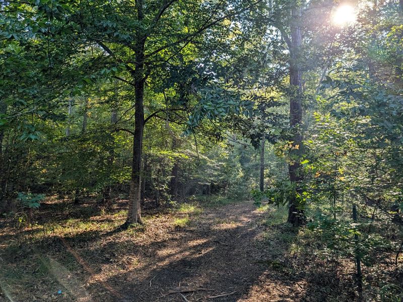 12.5 Acre Pike Road Estate Lot : Cecil : Montgomery County : Alabama