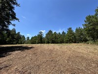 Wooded Creek Lot : Musella : Crawford County : Georgia