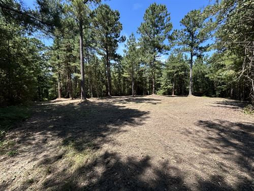 Large Acreage Lot : Musella : Crawford County : Georgia