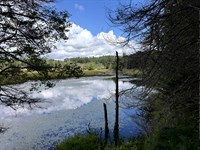 Black River Frontage : Ohio : Herkimer County : New York