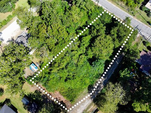 Corner Lot Near Edisto River : Bamberg : South Carolina