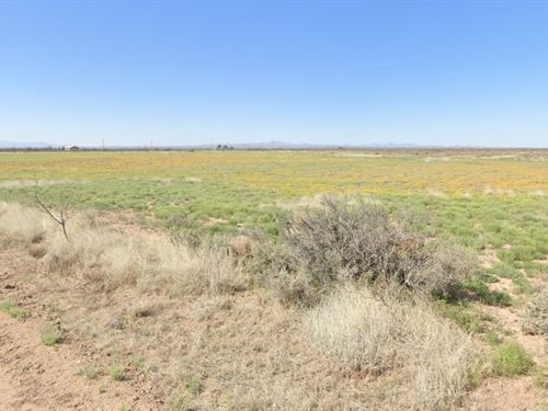 Two Lots in Luna, NM : Deming : Luna County : New Mexico
