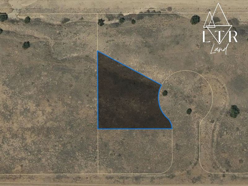 Rio Del Oro Desert Lots : Meadow Lake : Valencia County : New Mexico
