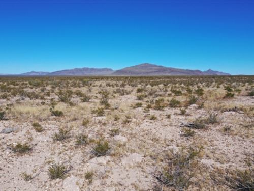 5 Acres of No Neighbors : Salt Flat : Hudspeth County : Texas