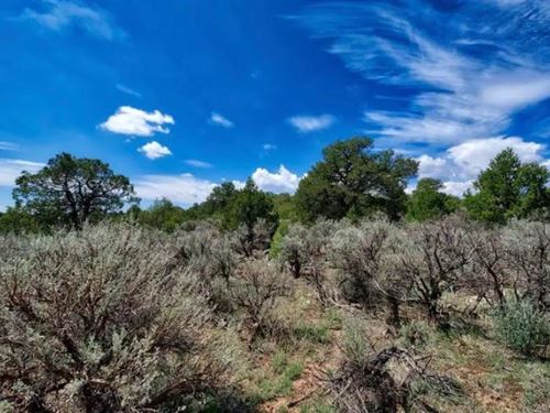 Exotic 7500 Elevation.25-Acre Lot : Tres Piedras : Taos County : New Mexico