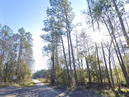 1.25 Acres of Potential, $339/Mo : Flagler Estates : Flagler County : Florida