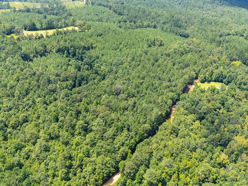 $999 Down Land with Electricity : Beaverton : Lamar County : Alabama