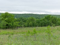 $999 Down Land with Electricity : Kiowa : Pittsburg County : Oklahoma